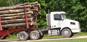 3PL flatbed freight brokers handle cargo shipping throughout Indiana.