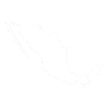 Freight Brokerage Services in Mexico Freight Brokerage Services in Mexico